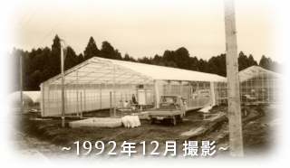 1992年12月撮影